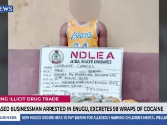 Businessman caught with 98 cocaine wraps at Airport