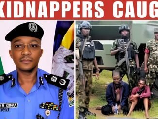 Suspected Terrorist Collaborator Nabbed in Adamawa