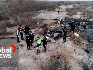 13 tourists die in Peru plane crash