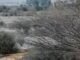 13 tourists die in Peru plane crash