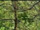 Man Sparks Outrage Over Nature Reserve