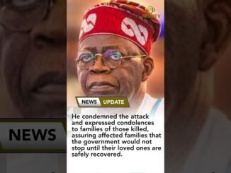 Tinubu Vows to Rescue Abducted Nigerians