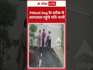 Pitbull attacks couple viewing rental home