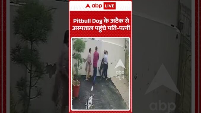 Pitbull attacks couple viewing rental home