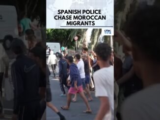 Spain nabs traffickers