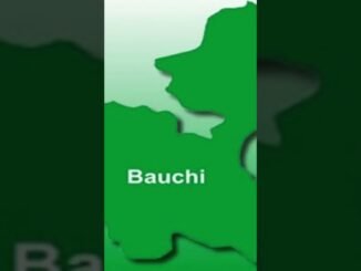 bauchi child abuse arrest
