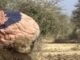 2 Suspected Boko Haram Informants Arrested