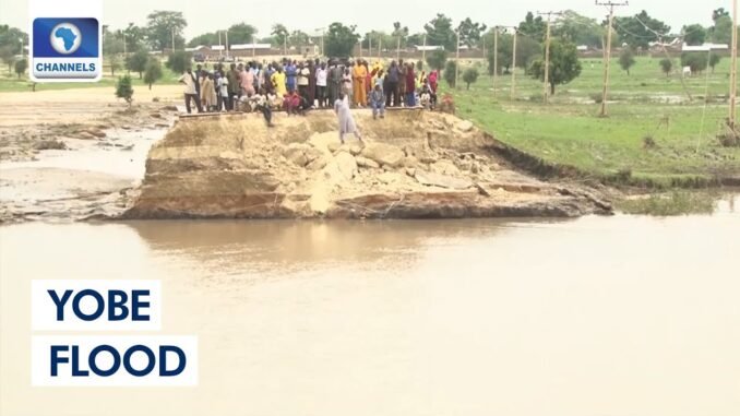 Two dead in devastating Yobe flood