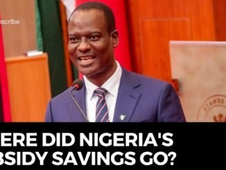Oyedele reveals fuel subsidy savings breakdown