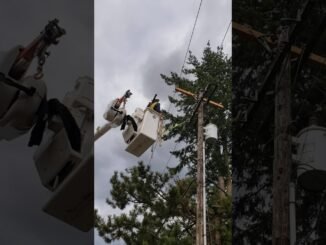 EEDC worker electrocuted during duty