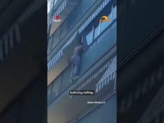 How Neighbours Rescued a Toddler Hanging