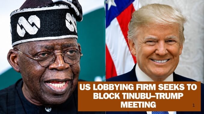 Lobbying Firm Moves To Block Tinubu-Trump UNGA Meeting