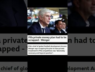 Arsène Wenger backs dropping FIFA investment plan