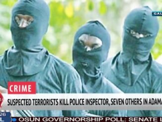 Boko haram attack kills eight in Adamawa