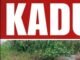 How Adamawa Police Saved a Kidnapped