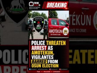 IGP bans security outfits from Osun election