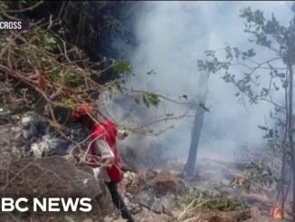 Kenya helicopter crash kills seven people