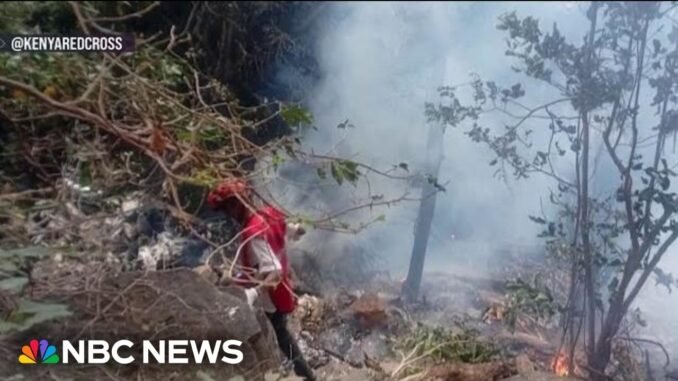 Kenya helicopter crash kills seven people