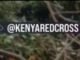 Kenya helicopter crash kills seven people