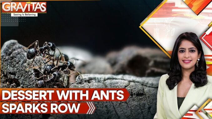 Chef avoids jail after ants dessert controversy