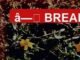 Influencer dies after cosmetic surgery