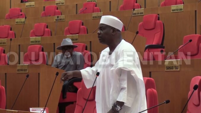 Ndume Blames Nigerians