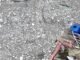 Woman rescued alive after 10 days