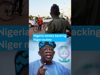 FG denies role in failed Niger coup