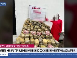 NDLEA busts trafficker behind herbal business