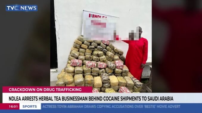NDLEA busts trafficker behind herbal business