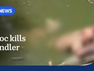 Crocodile handler killed in PNG park