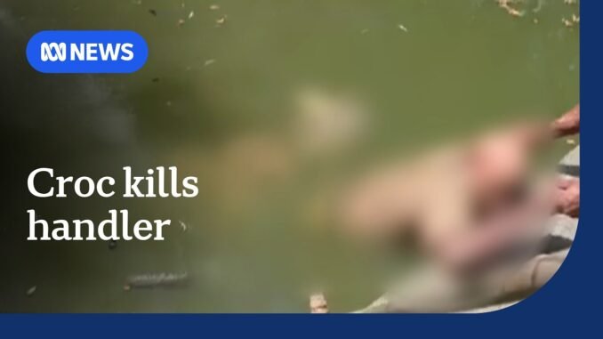Crocodile handler killed in PNG park