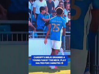 Cardiff City player faces probe