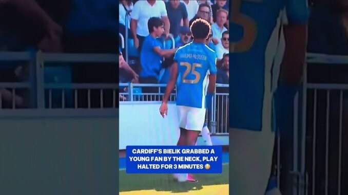 Cardiff City player faces probe