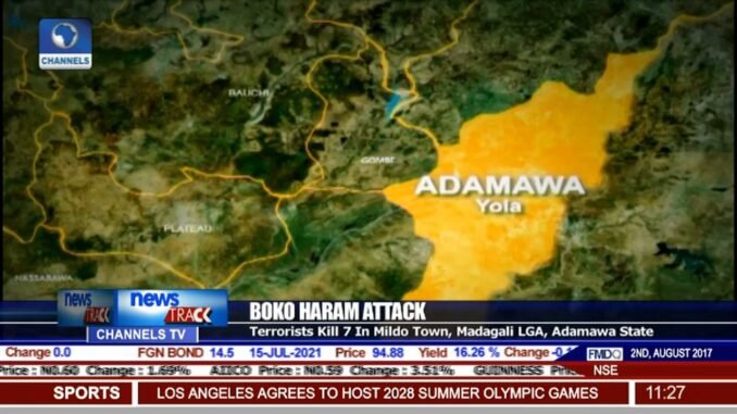 Boko Haram attack in Adamawa