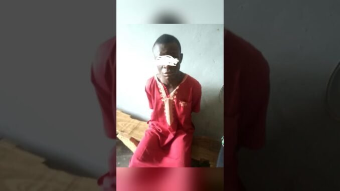 22-year-old nabbed in Bauchi