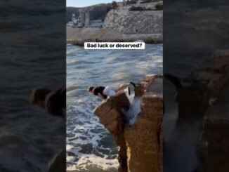 Man jumps off dam, breaks both legs