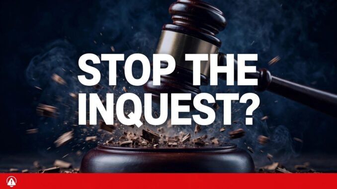 Euracare Seeks to Halt Inquest Into Adichie's Son's