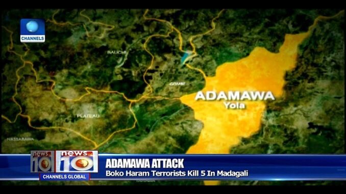 Boko haram attacks Adamawa village