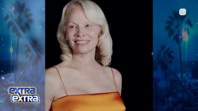 Pamela Anderson reflects on Hepatitis C diagnosis