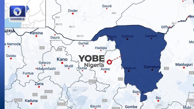 Operation HADIN KAI strikes hard in Yobe