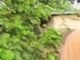 Bandits Kill Health Secretary in Malumfashi,