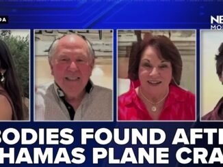 Plane crash kills four family members