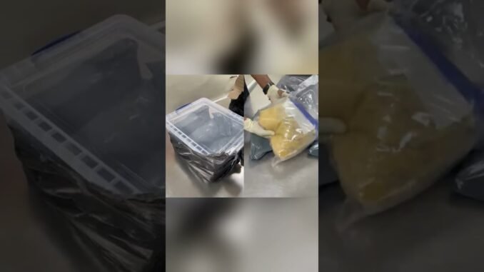 NDLEA Warns Against Drug-Laced Packages