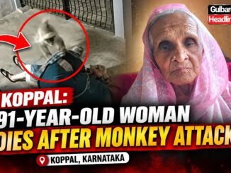 Elderly woman killed in monkey attack