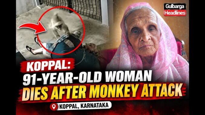 Elderly woman killed in monkey attack