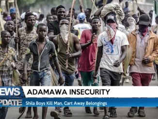Adamawa Police Arrest 'Shilla Boys' Terrorising Yola