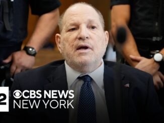Harvey Weinstein Sentenced to 15 Years