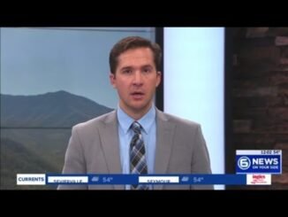 Patterson arrest domestic assault