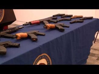 Arms recovered by DSS